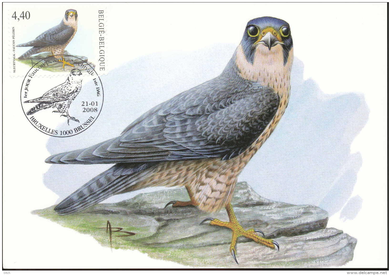 D- [13896] Carte-CMAX 3751, 2008, MB - BUZIN, Oiseau, Faucon Pèlerin, Facial 4.40? - 2001-2010