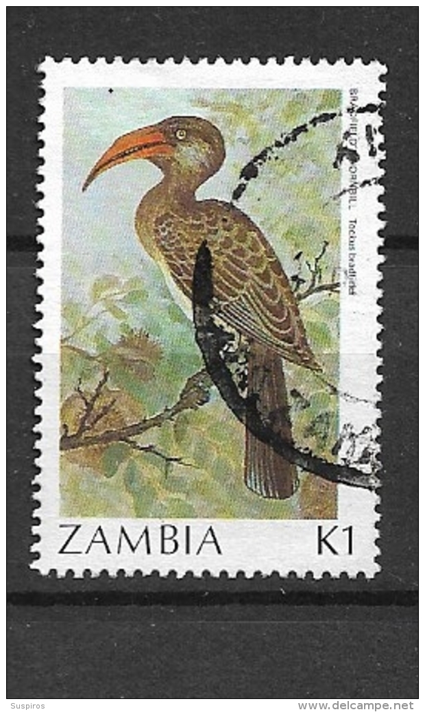 ZAMBIA     1987 Birds    Tockus Bradfieldi                             USED - Zambia (1965-...)