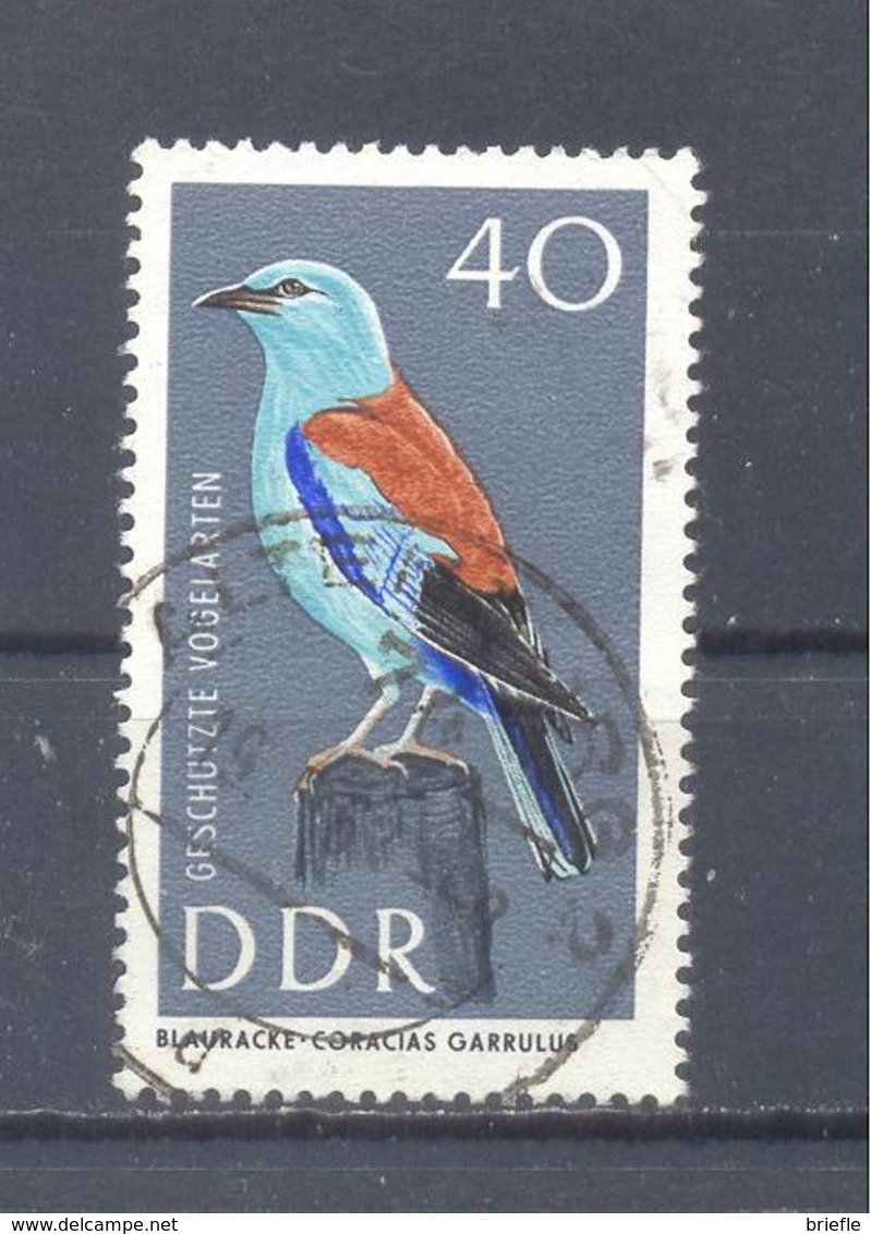 1967  DDR  Mi-1277  27.April Geschützte Vogelarten - Used Stamps