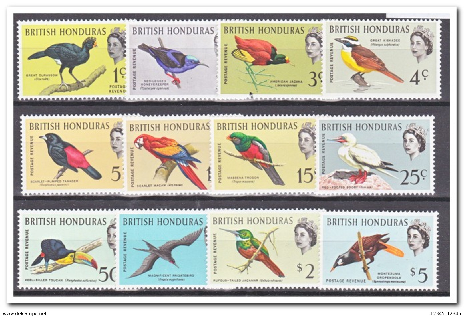 Brits Honduras 1962, Postfris MNH, Birds - Amerika (Varia)