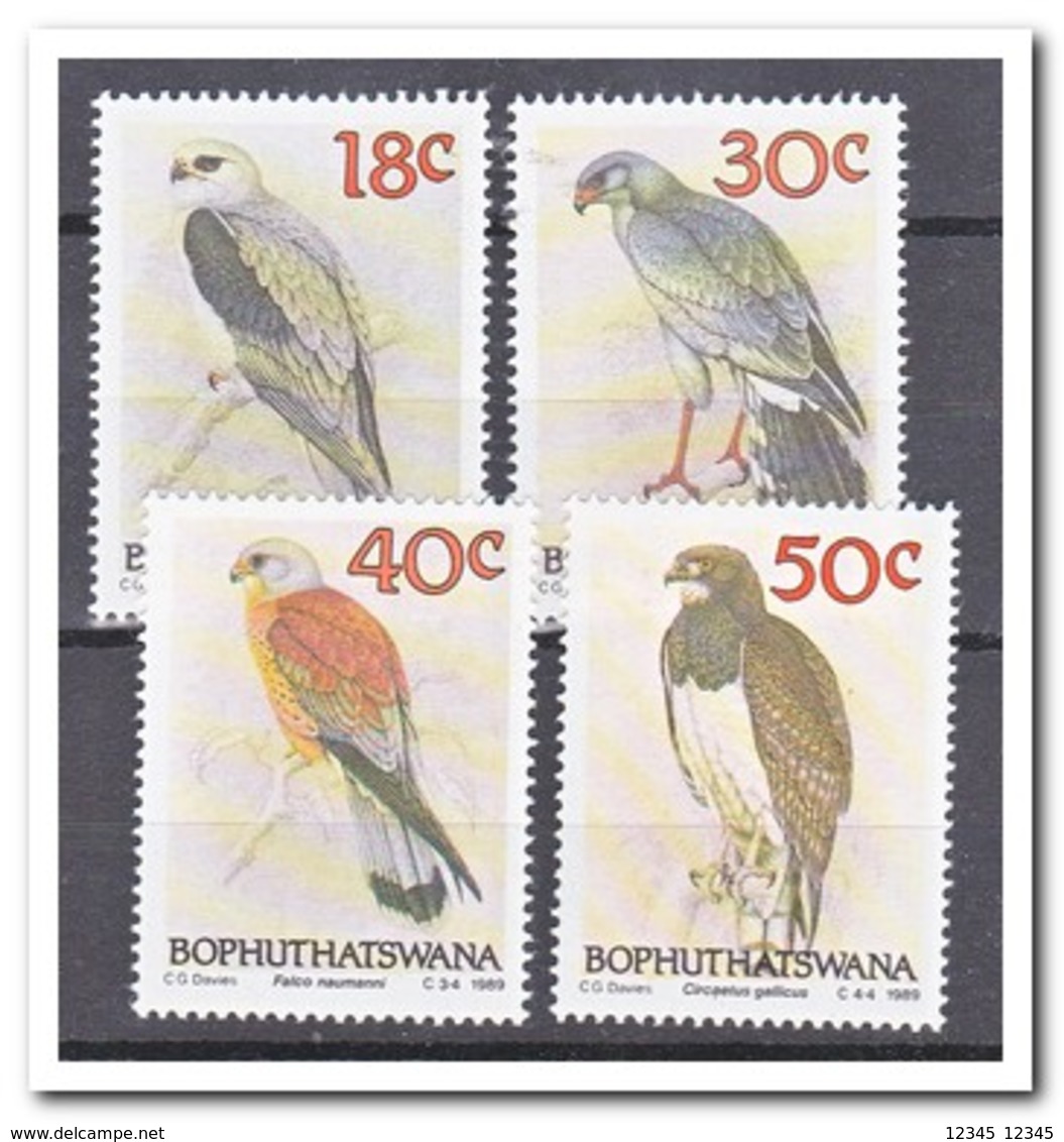 Bophutswana 1989, Postfris MNH, Birds - Bofutatsuana