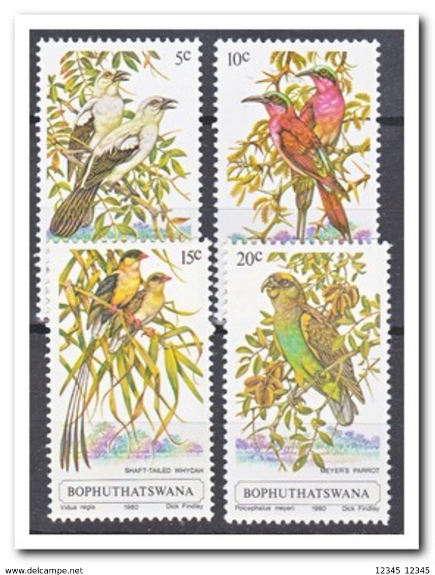 Bophutswana 1980, Postfris MNH, Birds - Bophuthatswana