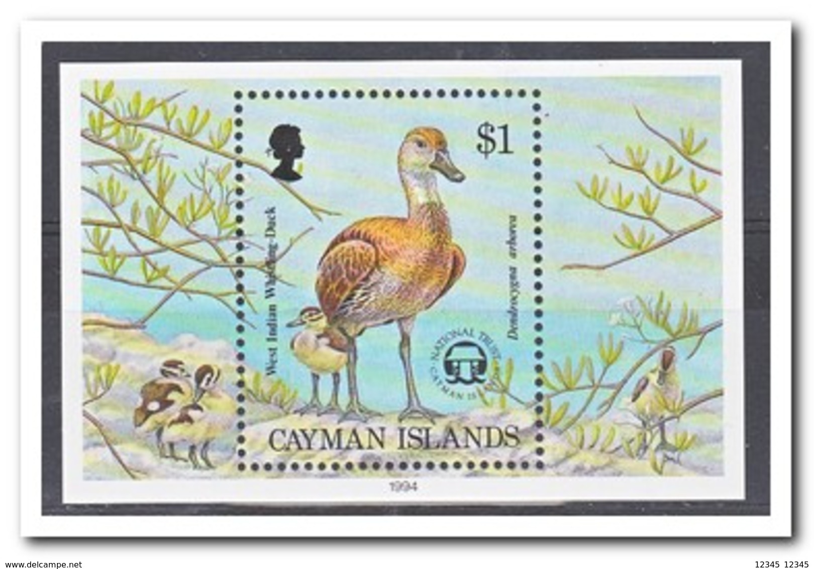 Kaaiman Eilanden 1994, Postfris MNH, Birds - Kaimaninseln