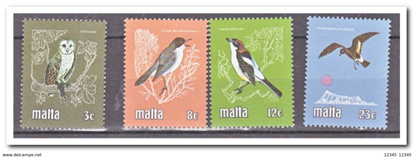 Malta 1981, Postfris MNH, Birds - Malte