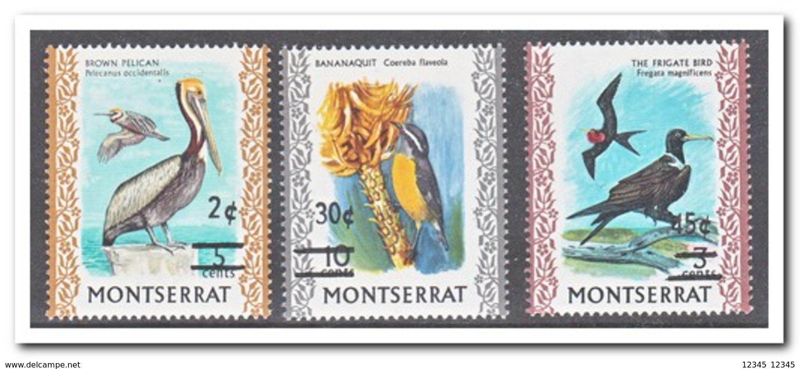 Montserrat 1976, Postfris MNH, Birds - Montserrat