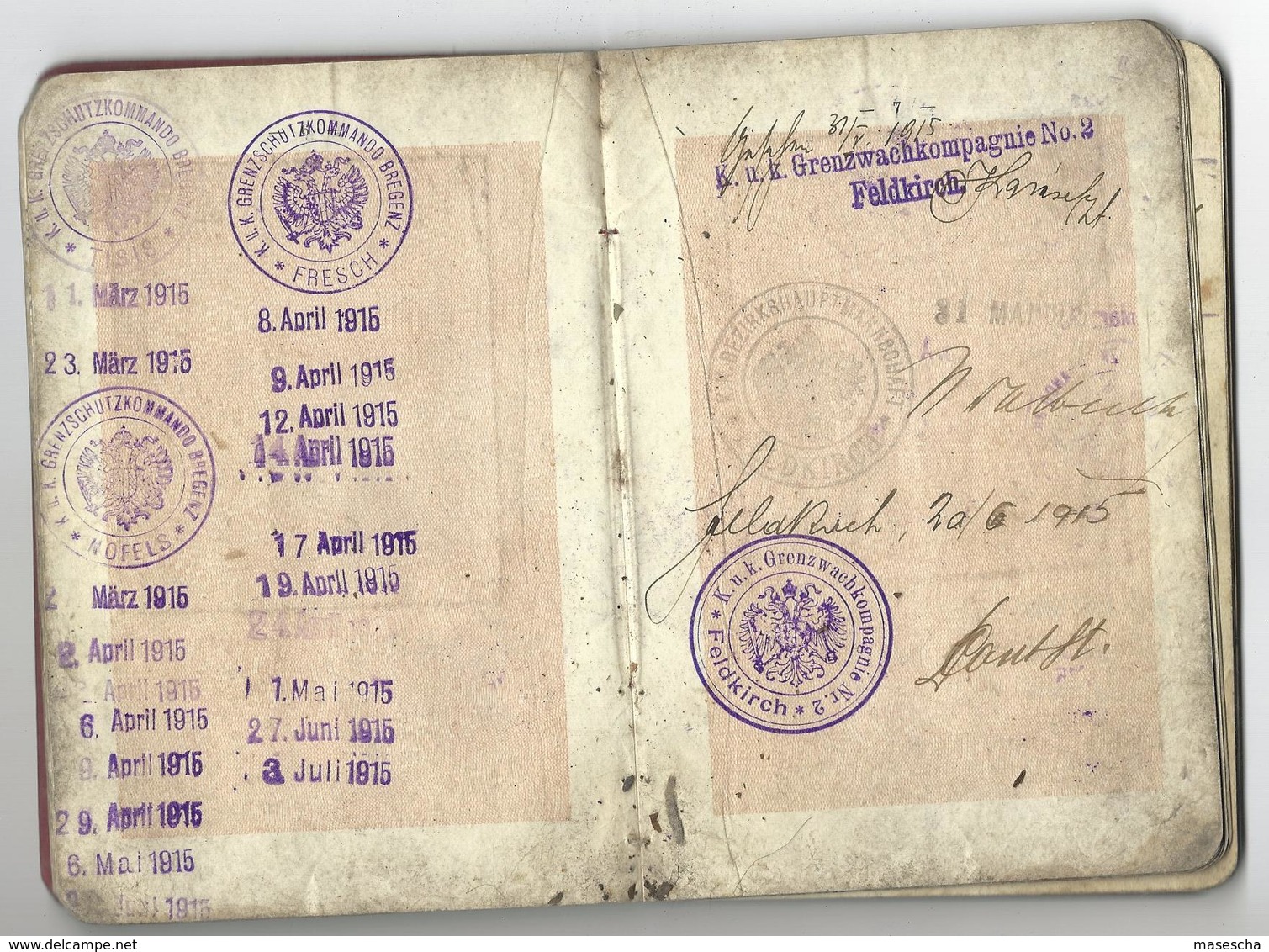 Passeport - Reisepass LIECHTENSTEIN 1915 = 24 Pictures / Bilder - Documenti Storici