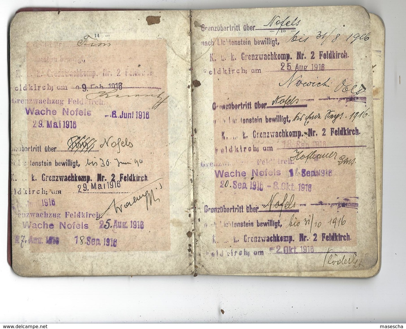 Passeport - Reisepass LIECHTENSTEIN 1915 = 24 pictures / Bilder