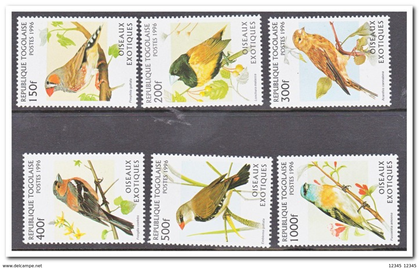 Togo 1996, Postfris MNH, Birds - Togo (1960-...)