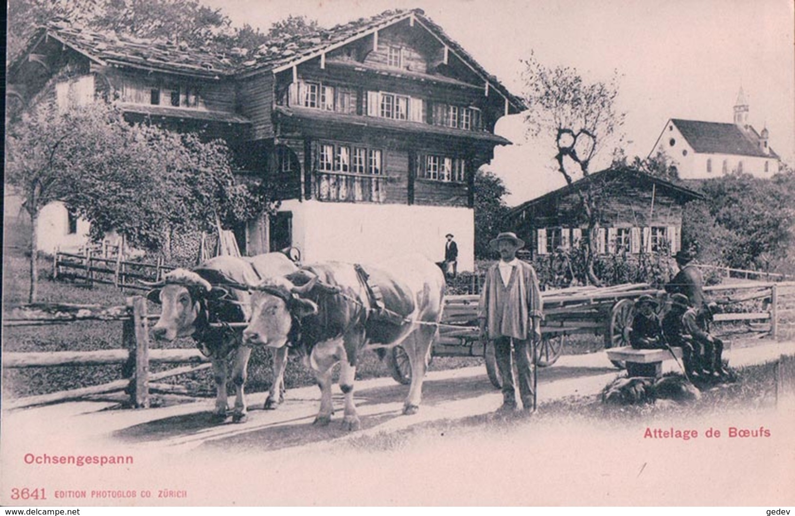 Suisse, Attelage De Boeufs, Ochsengespann (3641) - Attelages