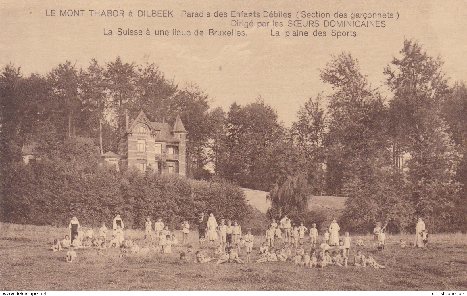 Dilbeek, Le Mont Thabor, Section Des Garçonnets Débiles (pk46836) - Dilbeek