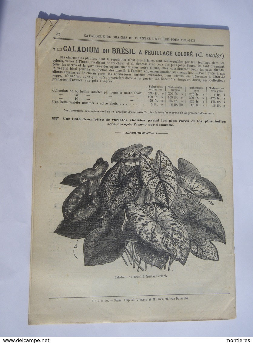 VILMORIN - ANDRIEUX & Cie 4 Quai De La Mégisserie - Tarif 1930 Graines Plantes De Serre Et D'orangerie Tropiques - Agriculture