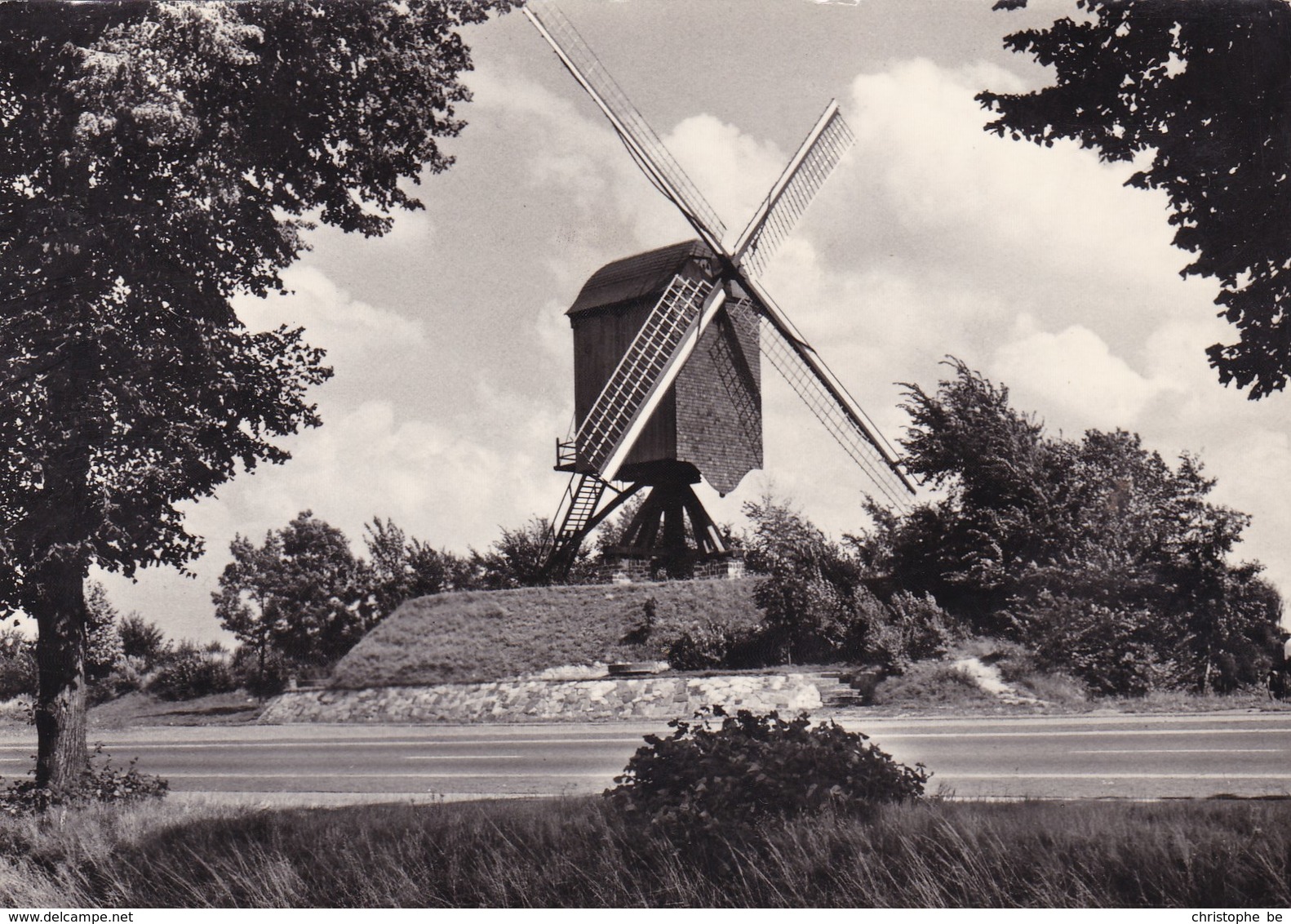 Diest De Linde Molen (pk46858) - Diest