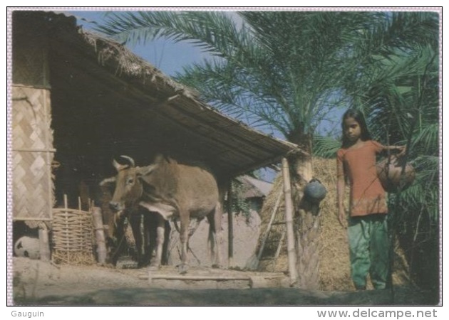 CPA - YOUNG FARMER - Edition ? - Bangladesh