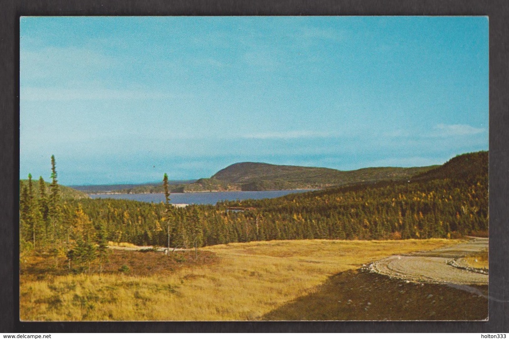 View Of Lake & Blue Mountains Terra Nova National Park - Unused - Sonstige & Ohne Zuordnung