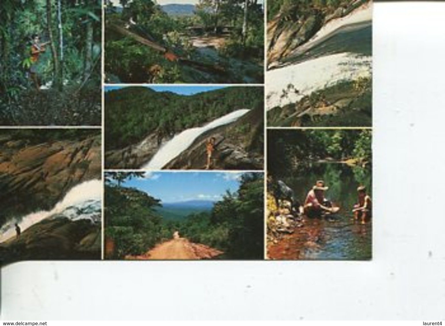 (90) Australia (with Stamp At Back Of Card) - QLD - Creb Trail - Far North Queensland