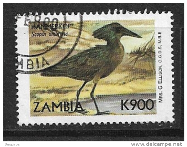 ZAMBIA    1999 Birds Scopus Umbretta     USED - Zambie (1965-...)