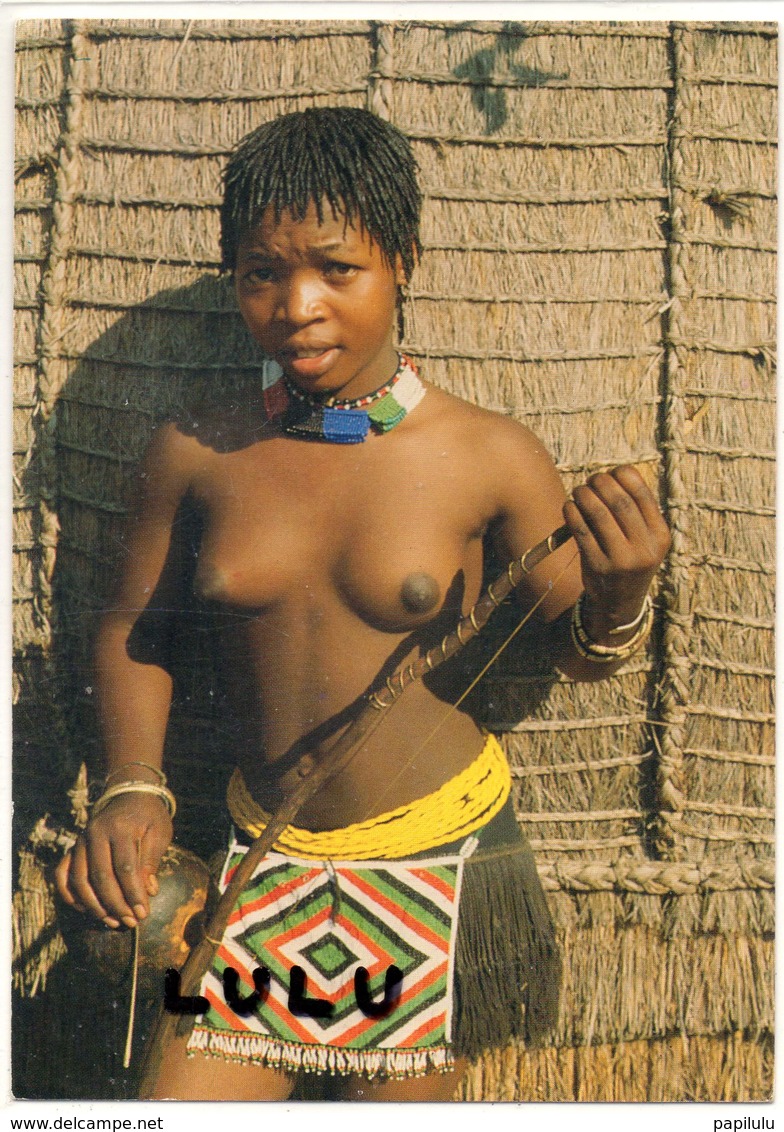 AFRIQUE : Du Sud : Belle Zulu Tribe ( Seins Nues Nue Nu ) - Afrique Du Sud