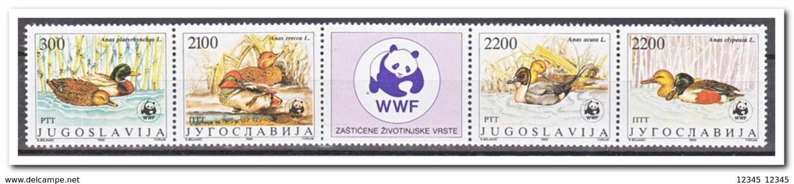 Joegoslavië 1989, Postfris MNH, Birds, WWF - Nuovi