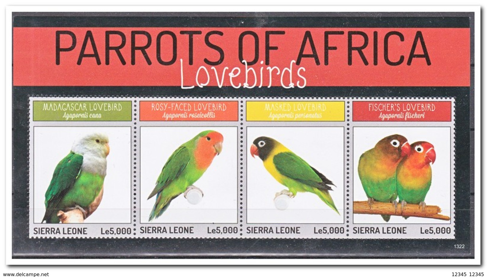 Sierra Leone 2013, Postfris MNH, Birds, Parrots - Sierra Leone (1961-...)