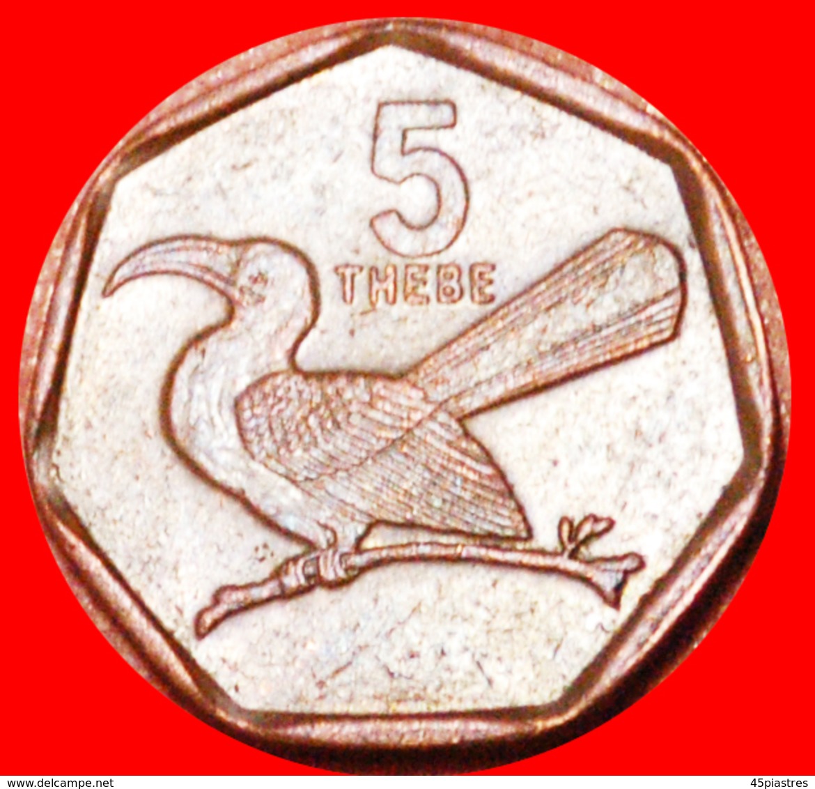 # BIRD: BOTSWANA ★ 5 THEBE 1998! LOW START ★ NO RESERVE! - Botswana