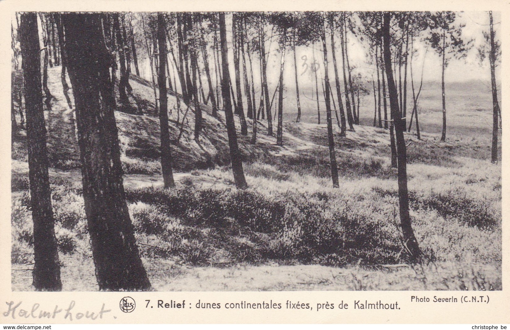 Kalmthout, Relief, Dunes Continentales Fix"es Pres De Kalmthout  (pk46908) - Kalmthout