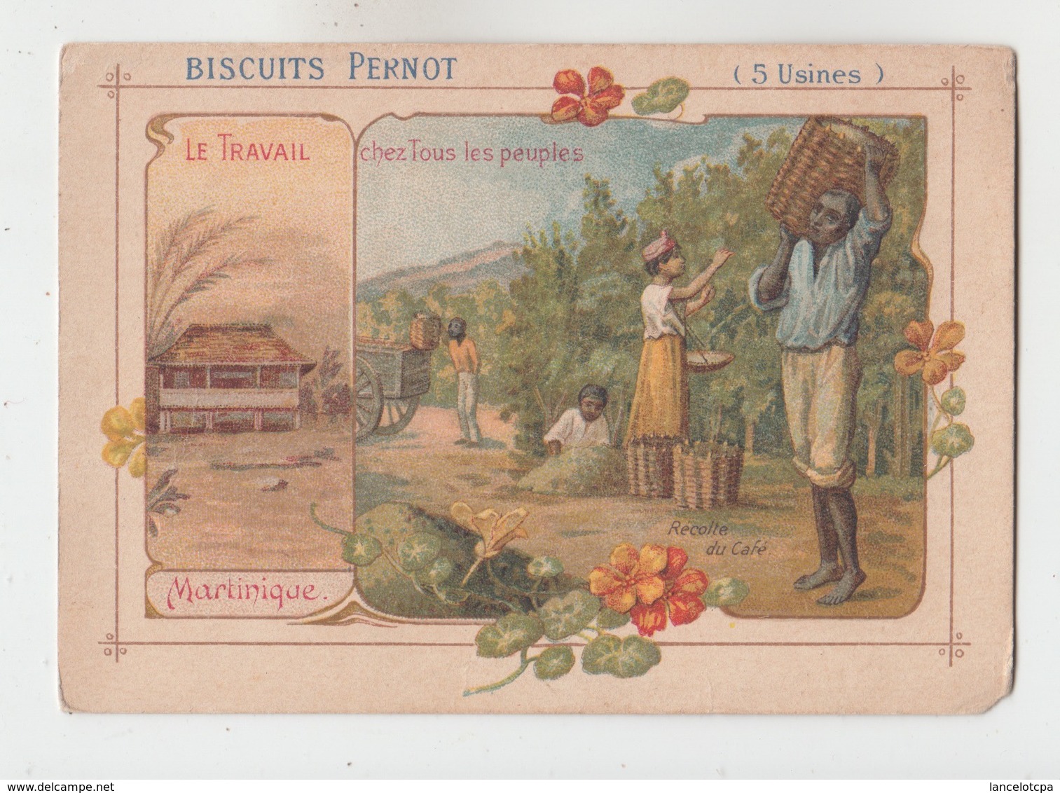 CHROMO BISCUITS PERNOT / LE TRAVAIL CHEZ TOUS LES PEUPLES - MARTINIQUE - Pernot