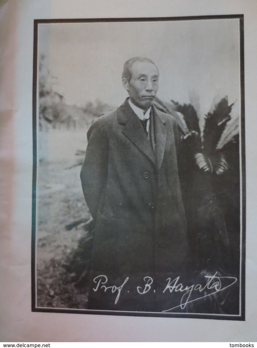 Dr Bunzô Hayata - Botaniste - 1874 - 1934 - Plaquette Biographique Liste - Peu Commun - - Other & Unclassified