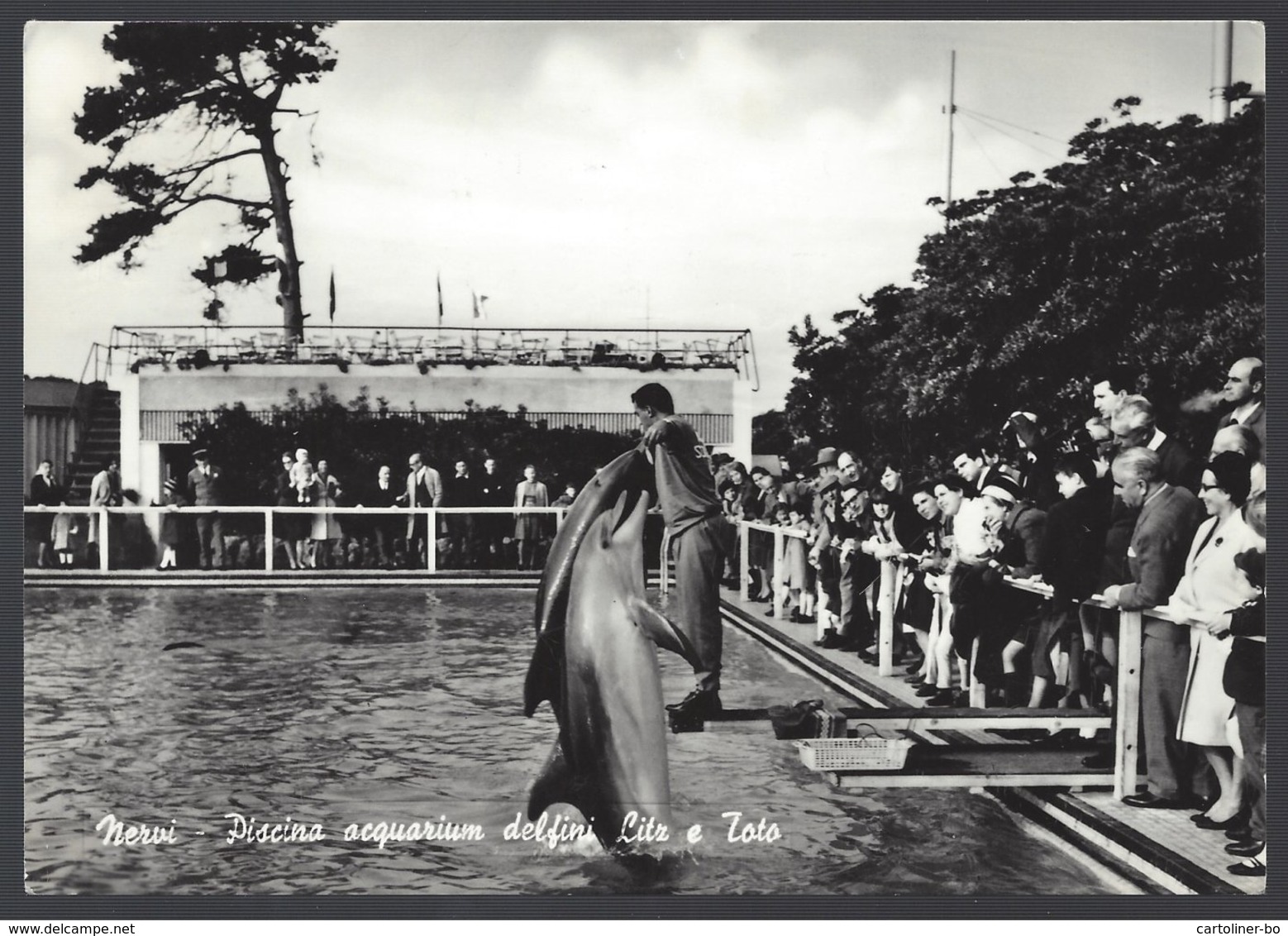 Nervi (Genova) - Piscina Acquarium Delfini Litz E Toto. Viaggiata 1965, FG - Genova