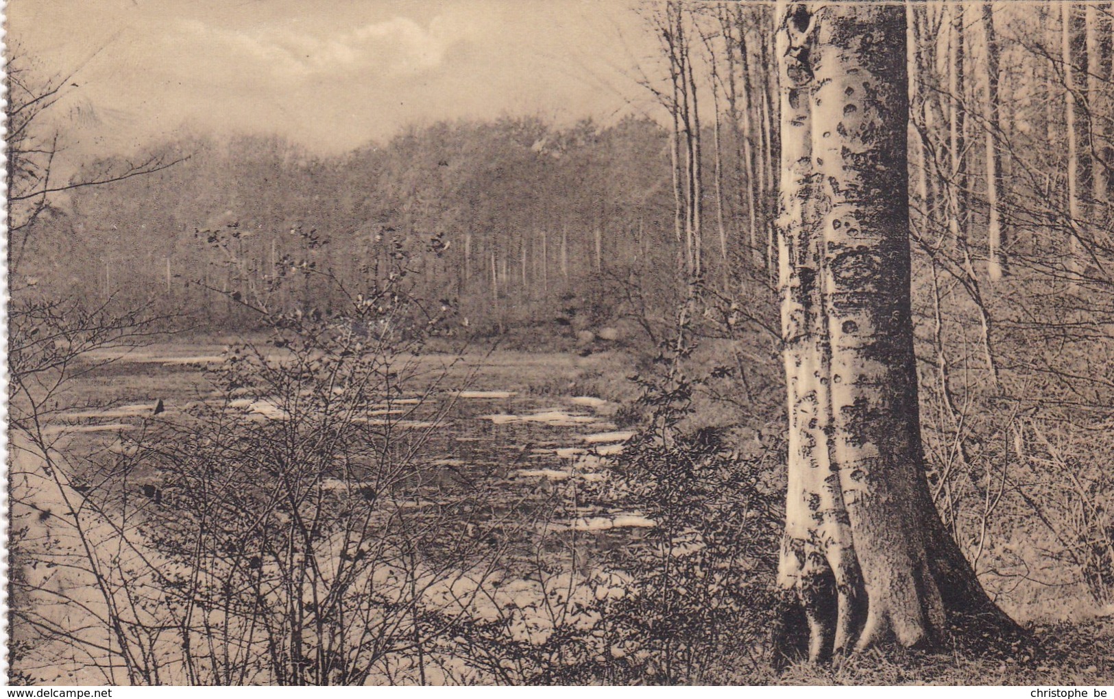 Etang De La Patte D'Oie, Groenendael (pk46918) - Höilaart