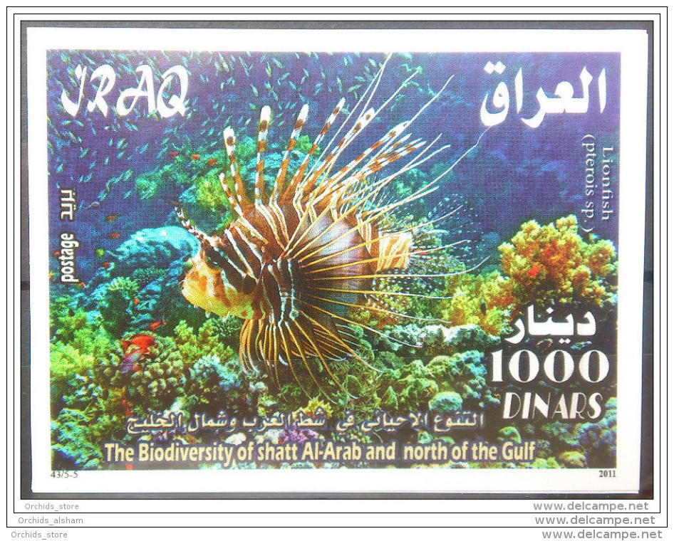 05 Iraq 2011 MNH - The Biodiversity Of Shat Al-Arab &amp; North Of The Gulf - Fishes - Marine Life - Animals - Fauna S/S - Iraq