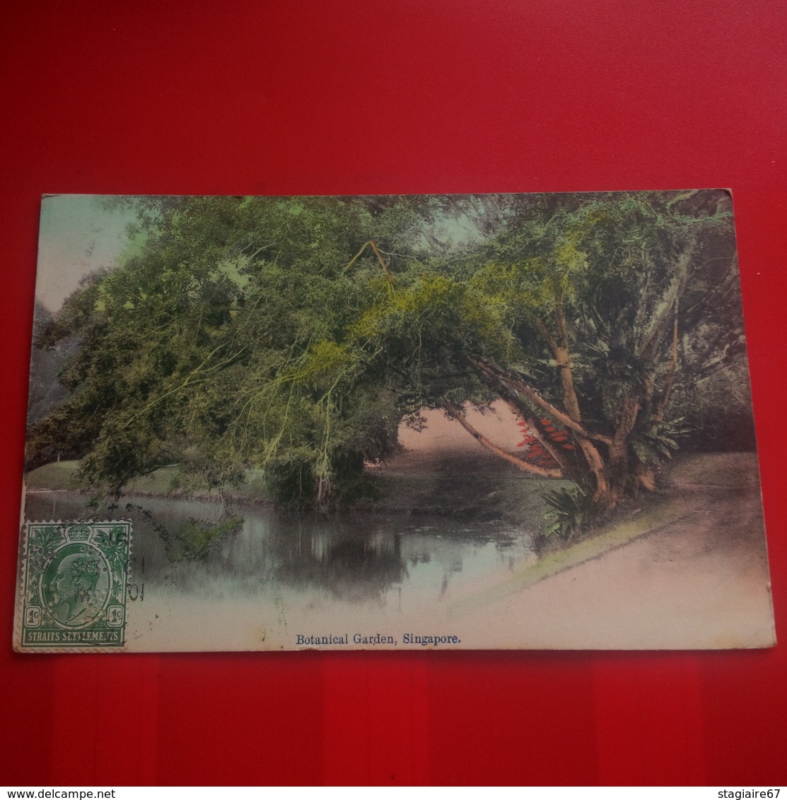 SINGAPORE BOTANICAL GARDEN CACHET S.S.KNEAB TIMBRE AVEC PERFORATION - Singapour