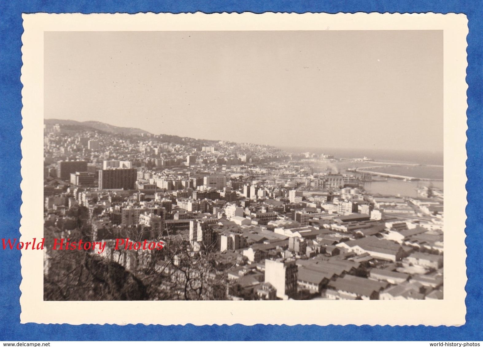 Photo Ancienne - ALGER ( Algérie ) - Vue De La Ville Prise Du Téléphérique - 1959 - Architecture Urbanisme Building - Africa