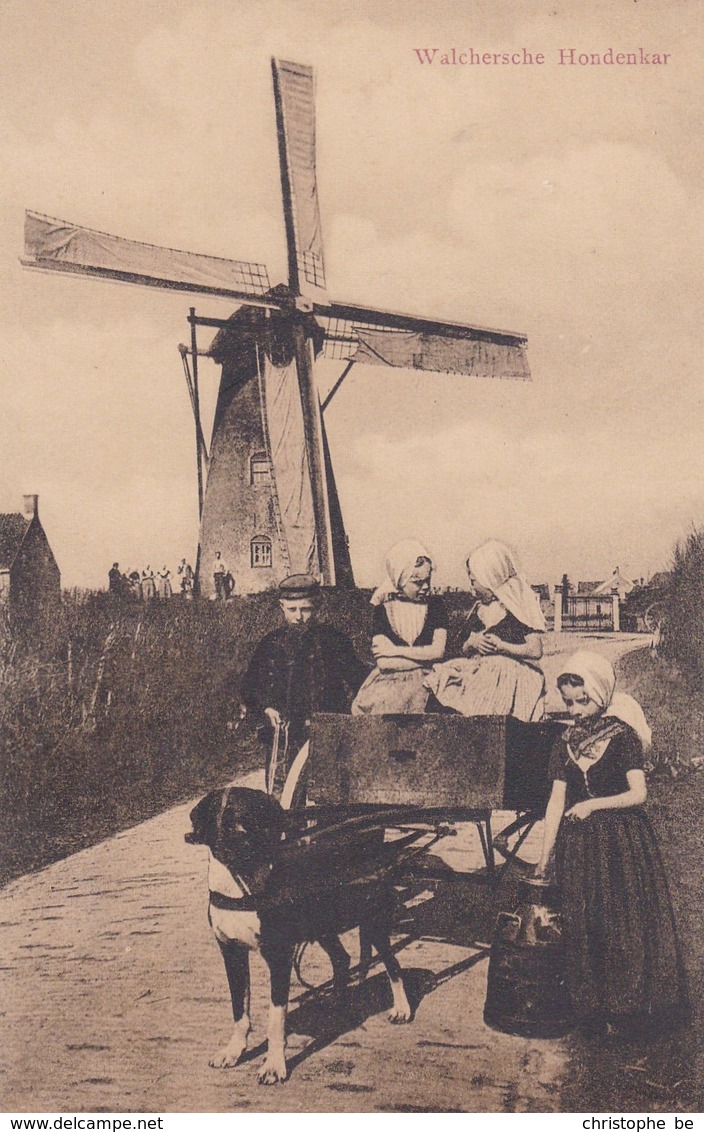 Walcherse Hondenkar, Attelage Chiens, Molen, Windmill, Moulin (pk46997) - Marchands Ambulants