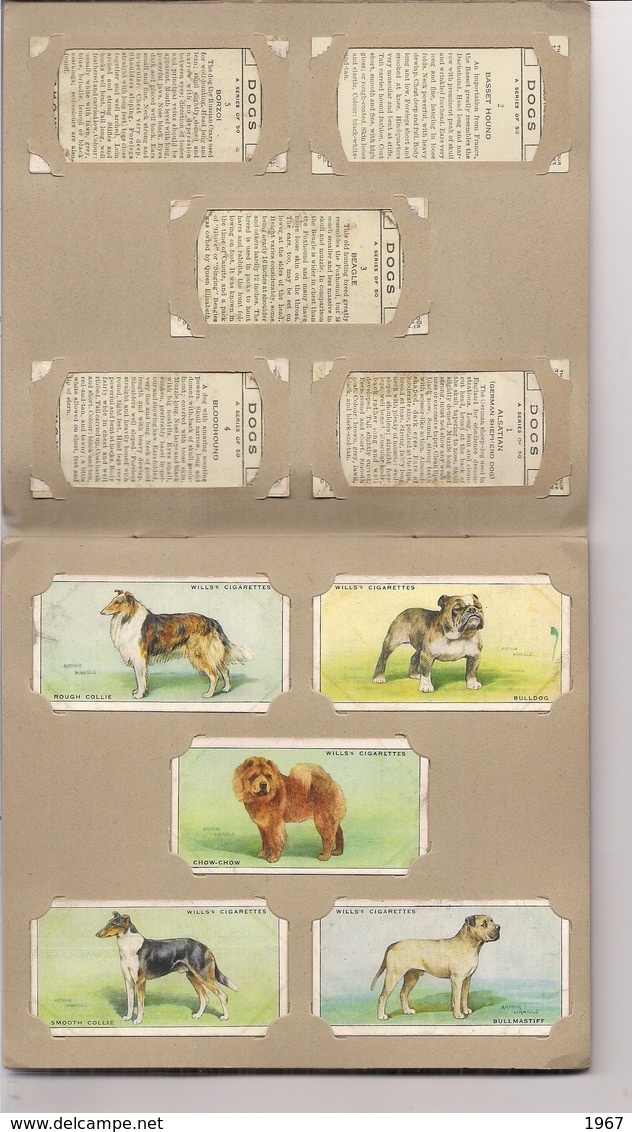 Bel ALBUM Complet De 50 Images DOGS (Chiens)  Cigarette Picture-Card  W.D. & H.O.Wills Bristol & London - Pirogeni