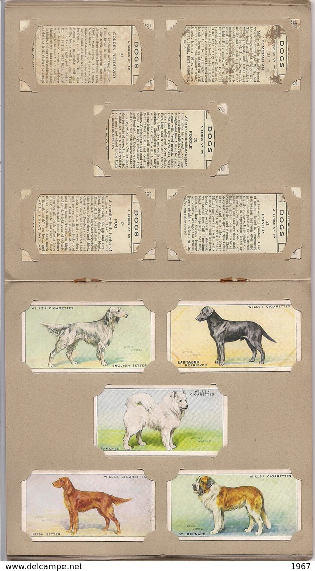 Bel ALBUM Complet De 50 Images DOGS (Chiens)  Cigarette Picture-Card  W.D. & H.O.Wills Bristol & London - Pirogeni