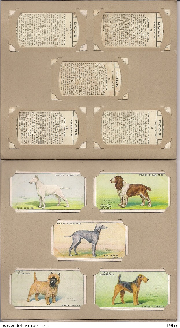 Bel ALBUM Complet De 50 Images DOGS (Chiens)  Cigarette Picture-Card  W.D. & H.O.Wills Bristol & London - Pyrogènes