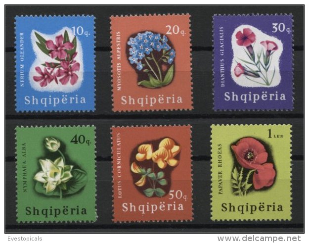 ALBANIA, FLOWERS SET 1965, MNH - Albanie