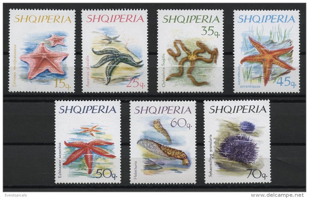 ALBANIA, MARINE LIFE, MNH SET FROM 1966 - Albanie