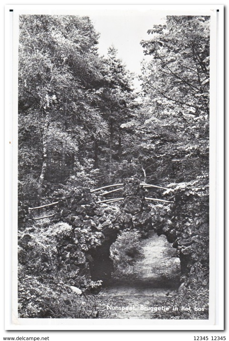 Nunspeet, Bruggetje In Het Bos - Nunspeet