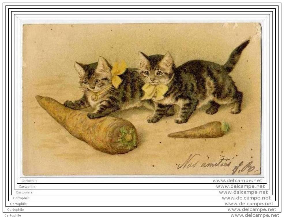 CATS - CHATS Avec Carottes - Chats