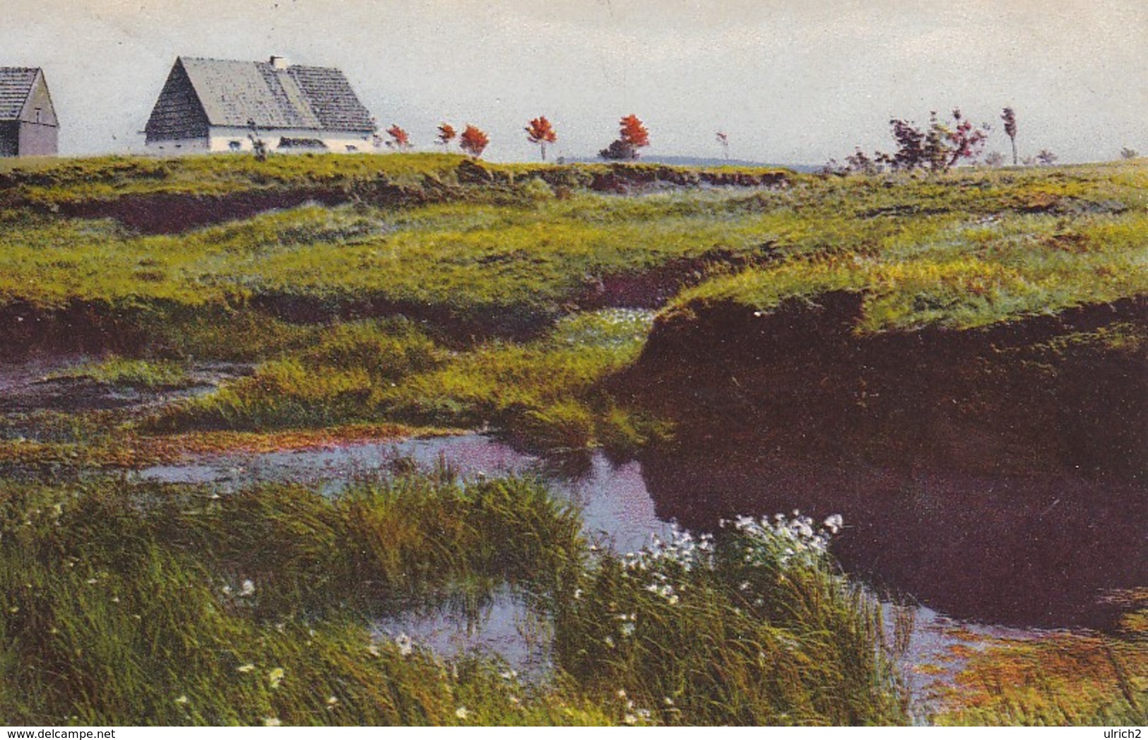 AK Hochmoor Bei Rübenau - Zum Besten Des Erholungs- Und Sportheims Jägerhof - 1928 (35150) - Marienberg