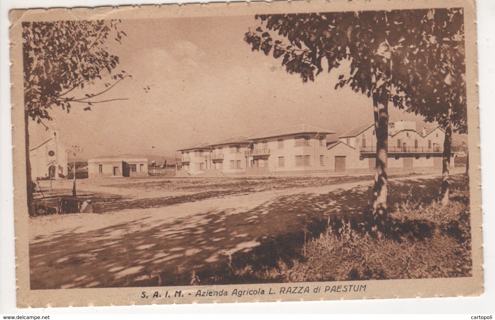 ^ SAIM AZIENDA AGRICOLA RAZZA DI PAESTUM SALERNO PANORAMA 96 - Salerno