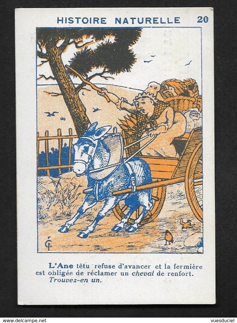 Valenciennes Denain Bruay En Artois St Amand Les Eaux Vêtements PAUL  - Image Chromo Devinette Trouver Un âne - Valenciennes