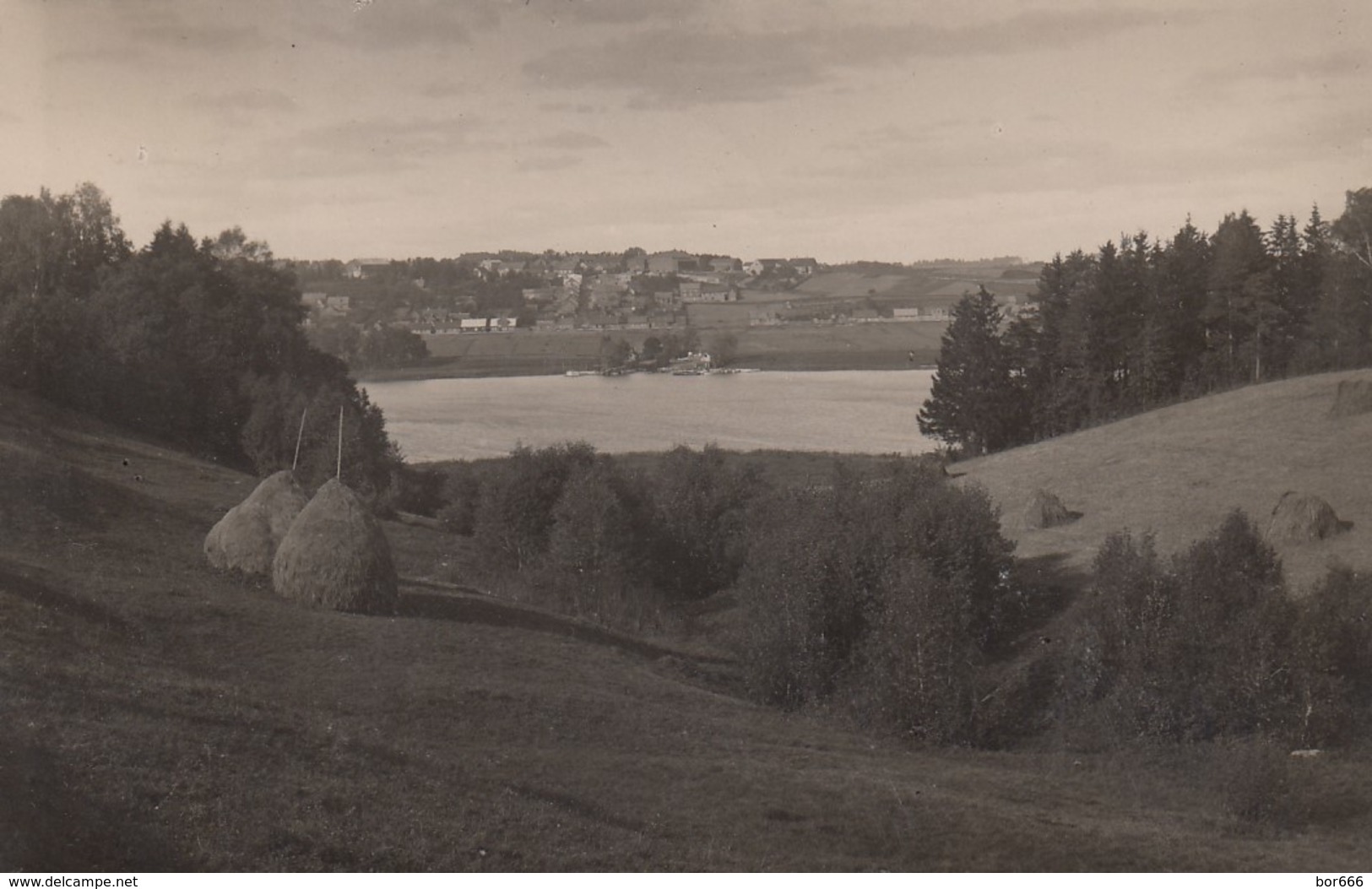 GOOD OLD ESTONIA Postcard - VILJANDI - Posted 1931 Torma To Laius Tähkvere - Estonie