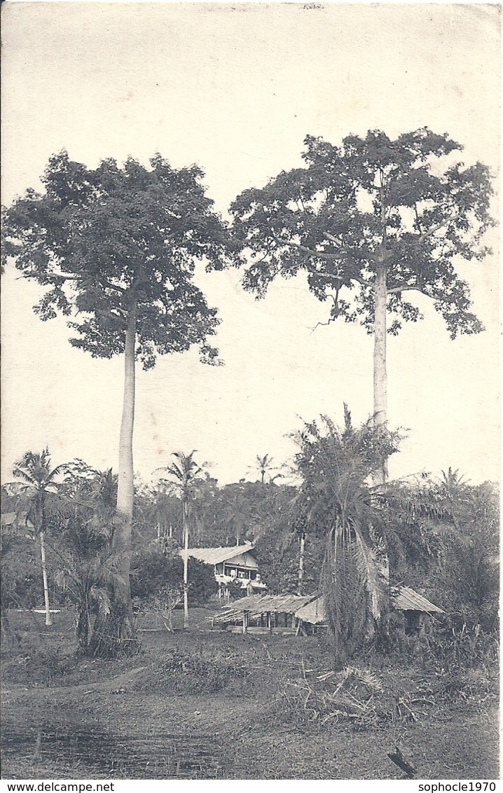 GABON - LAMBARENE - Missions évangéliques De Paris - Un Coin De La Station - Gabon