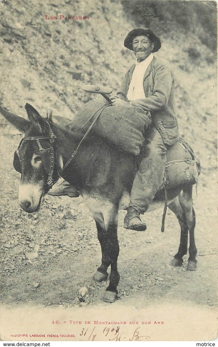 LES PYRÉNÉES - Type De Montagnard Sur Son âne. - Anes