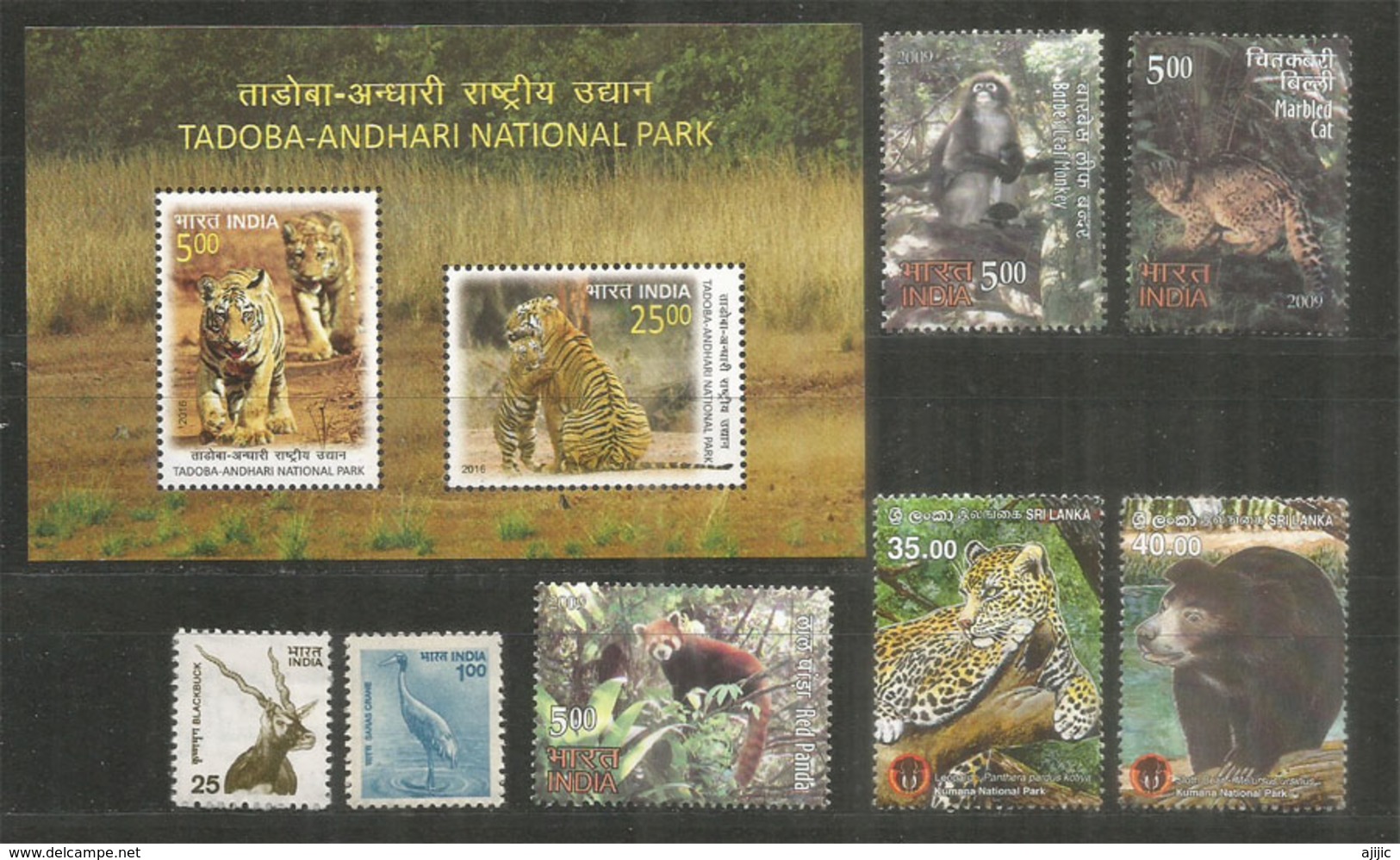 Faune Sauvage De L'Inde : Tigres,leopard,Chat Marbré, Etc Bloc-feuillet + 7 Timbres Neufs ** - Félins