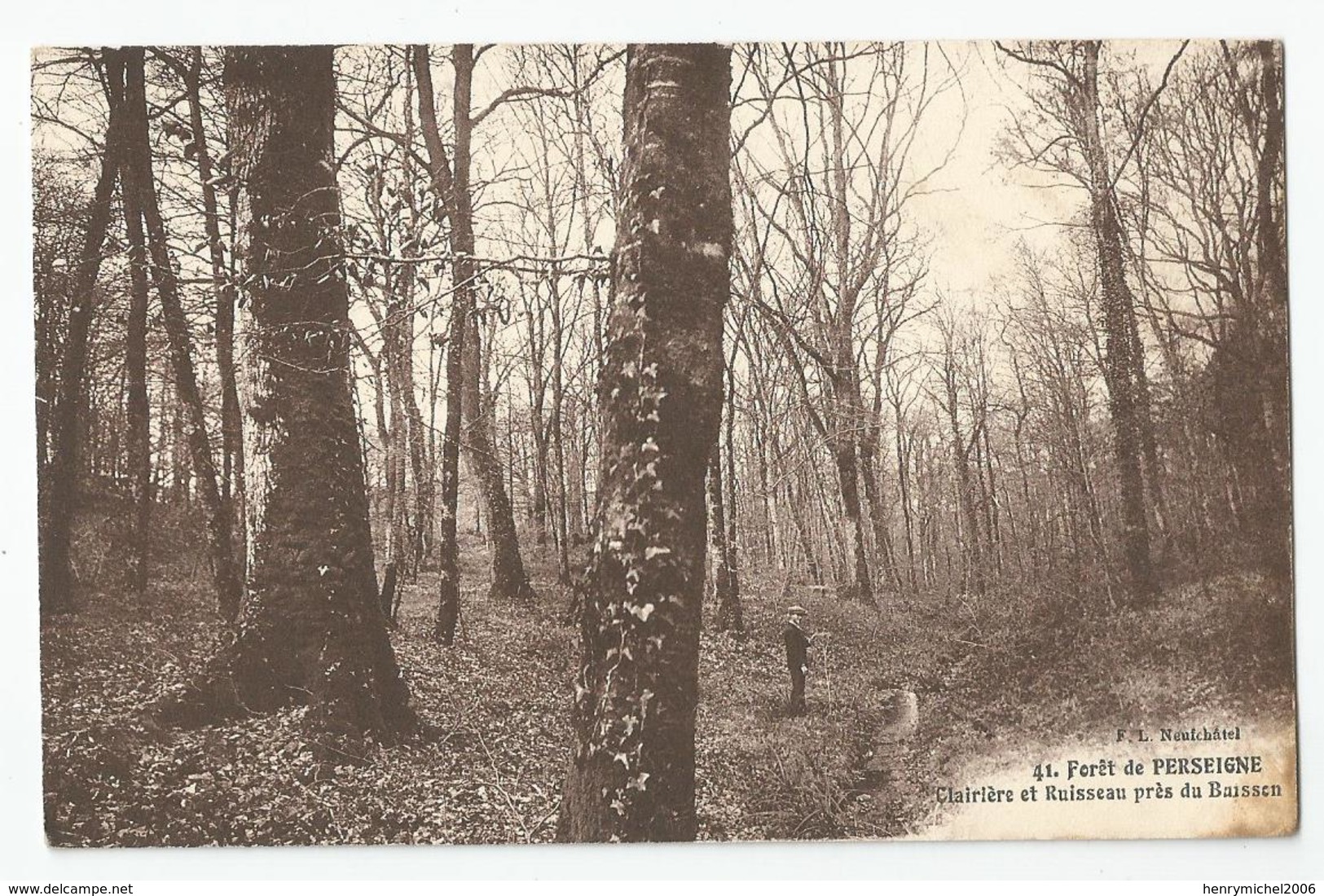 72 Sarthe - Foret De Perseigne Clairière Et Ruisseau Près Du Buissen - Autres & Non Classés