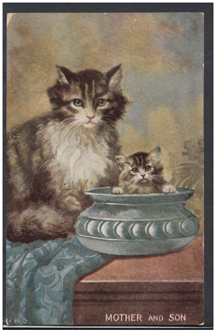 Animals Postcard - Cat &amp; Kitten - Mother And Son    DC1574 - Cats