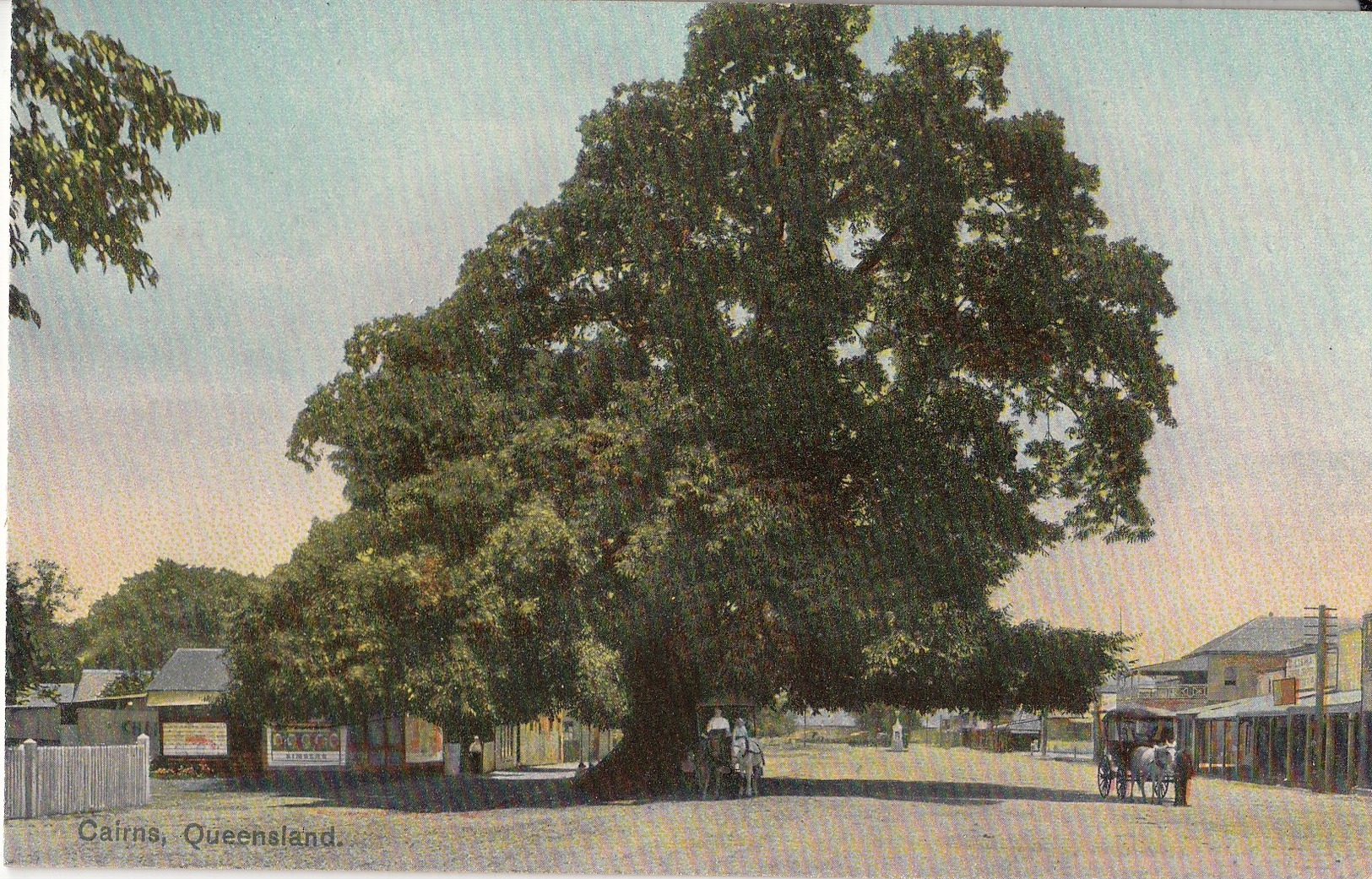 CARTE POSTALE D' AUSTRALIE / CAIRNS / QUEENSLAND - Autres & Non Classés